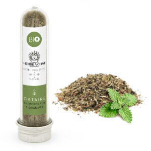 Cataire séchée en morceaux bio pour chat