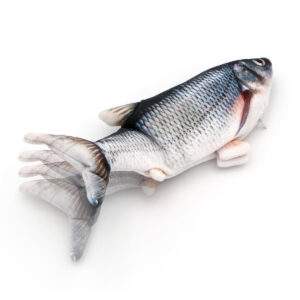 Poisson interactif pour chat qui bouge avec herbe à chat cataire