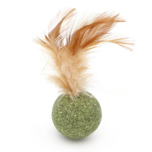 Herbe à chat boule de cataire avec plumes
