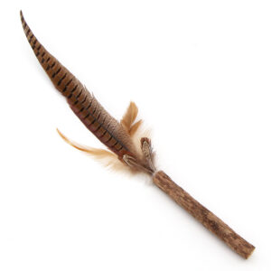 Grods bâton de matatabi avec plume de faisan pour chat