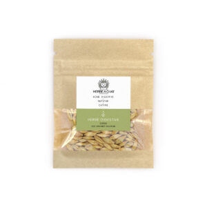 Graines d'herbe à chat orge à semer bio