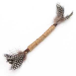 Stick d'herbe à chat matatabi avec plumes