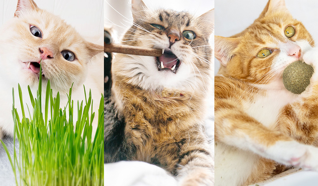 You were not leaving your cart just like that, right?